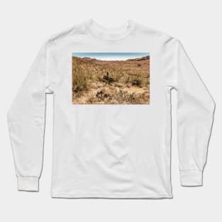 Apache Trail Scenic Drive View Long Sleeve T-Shirt